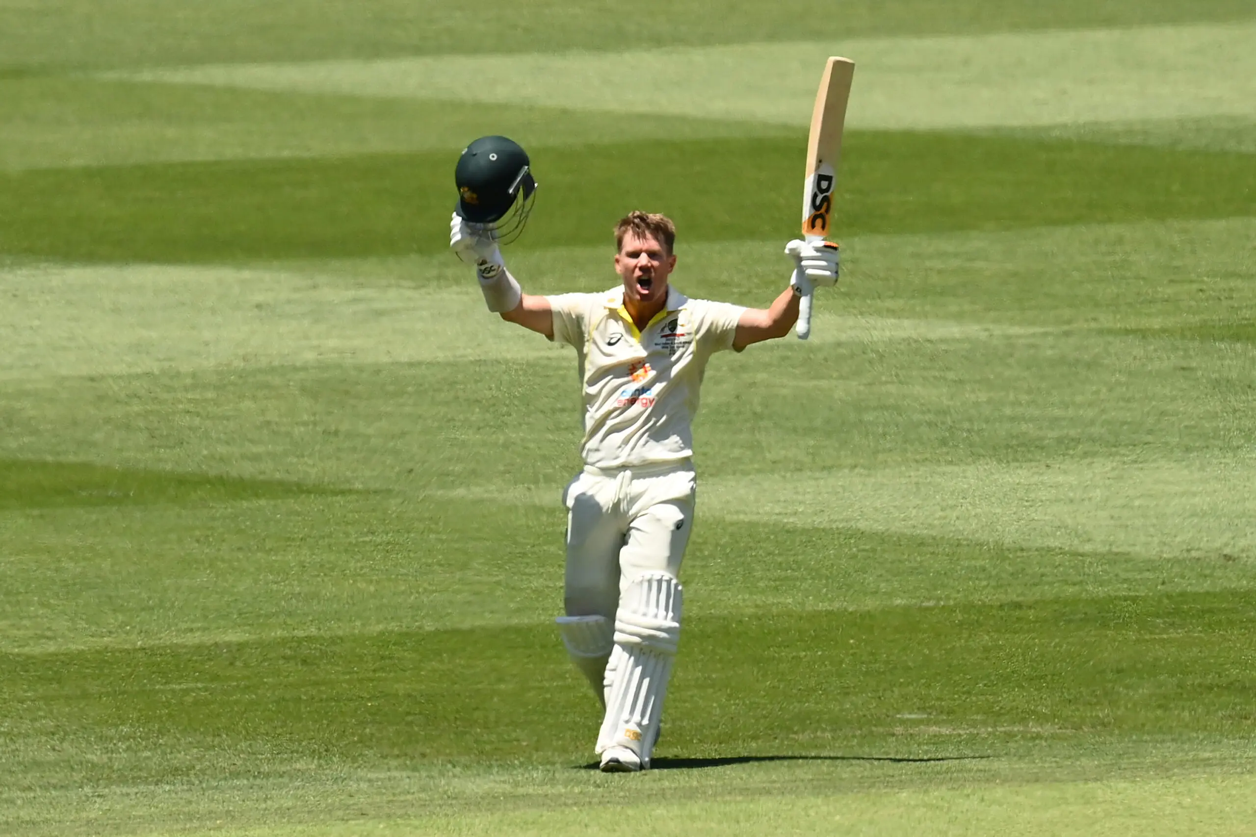 David Warner celebrating a century.