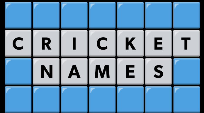 Pick your letters and crack today's cricket mystery