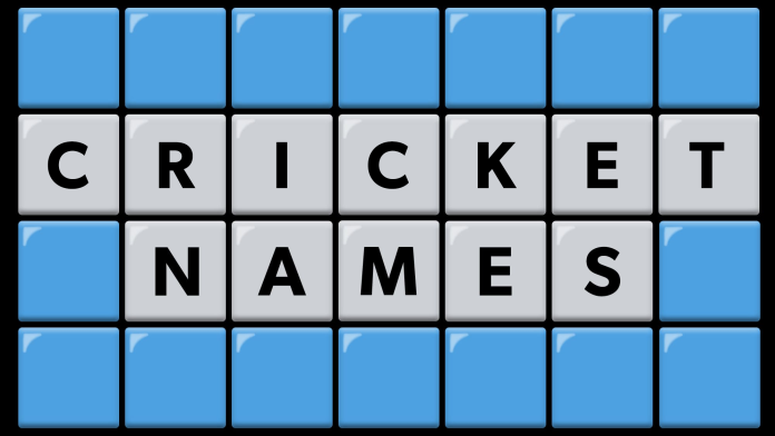 Pick your letters and crack today's cricket mystery