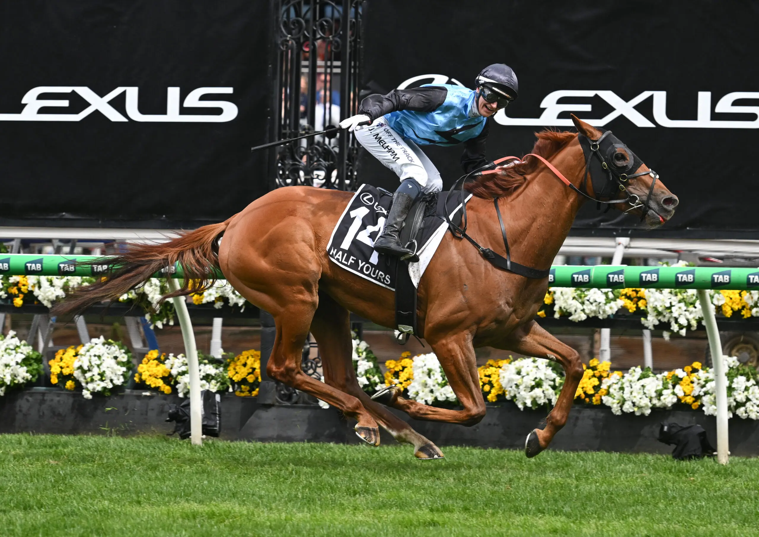 MELBOURNE, AUSTRALIA - NOVEMBER 04: Jamie Melham riding Half Yours winning Race 7, the Lexus Melbourne Cup during Melbourne Cup Day at Flemington Racecourse on November 04, 2025 in Melbourne, Australia. (Photo by Vince Caligiuri/Getty Images)